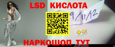 a pvp Кингисепп