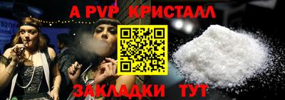 a pvp Кингисепп