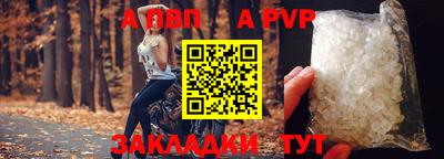 a pvp Кингисепп