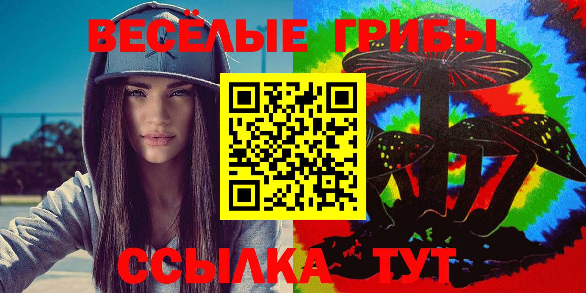 Псилоцибиновые грибы Cubensis Чехов